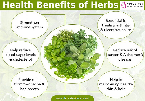 health benefits of herbs online