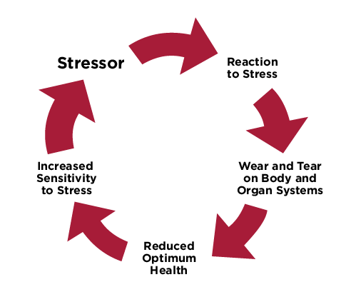 Managing Stress and Its Impact on Health